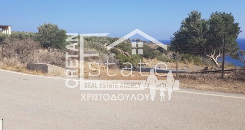 Αγροτεμάχια 6.500 τ.μ. προς πώληση, Τσούτσουρος