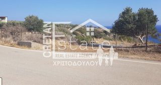 Αγροτεμάχια 6.500 τ.μ. για πώληση