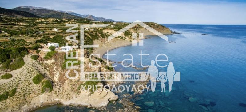 Αγροτεμάχια 6.500 τ.μ. προς πώληση, Τσούτσουρος