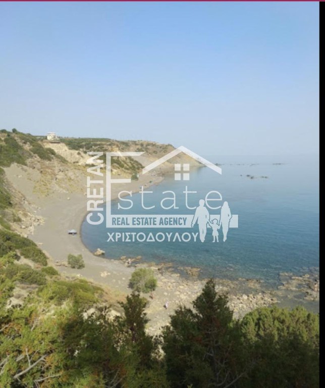 Αγροτεμάχια 6.500 τ.μ. προς πώληση, Τσούτσουρος