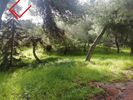 Land plot 1.000sqm for sale-Marousi » Psalidi