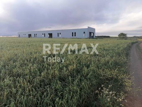 Αγροτεμάχια 4.050τ.μ. για πώληση-Καλλικράτεια » Λάκκωμα