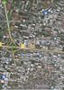 Parcel 10.478sqm for sale-Echedoros » Kalochori