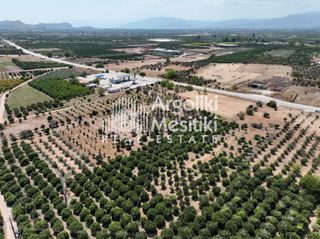 Αγροτεμάχια 20.055 τ.μ. για πώληση, Αργολίδα, Μιδέα-thumb-9