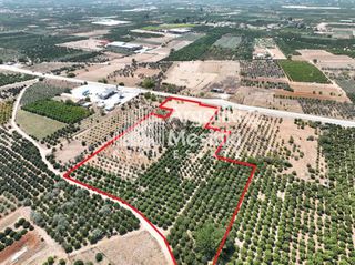 Αγροτεμάχια 20.055 τ.μ. για πώληση