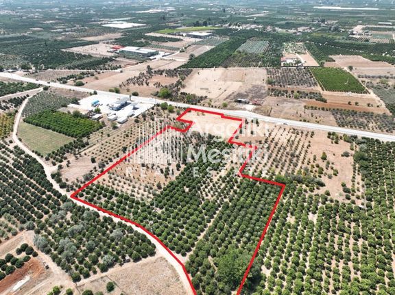 Αγροτεμάχια 20.055 τ.μ. για πώληση, Αργολίδα, Μιδέα