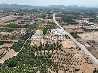 Αγροτεμάχια 20.055 τ.μ. για πώληση, Αργολίδα, Μιδέα-thumb-4