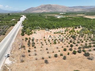 Αγροτεμάχια 20.055 τ.μ. για πώληση, Αργολίδα, Μιδέα-thumb-14
