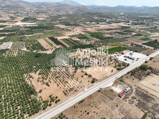 Αγροτεμάχια 20.055 τ.μ. για πώληση, Αργολίδα, Μιδέα-thumb-19