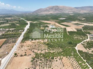 Αγροτεμάχια 20.055 τ.μ. για πώληση, Αργολίδα, Μιδέα-thumb-20