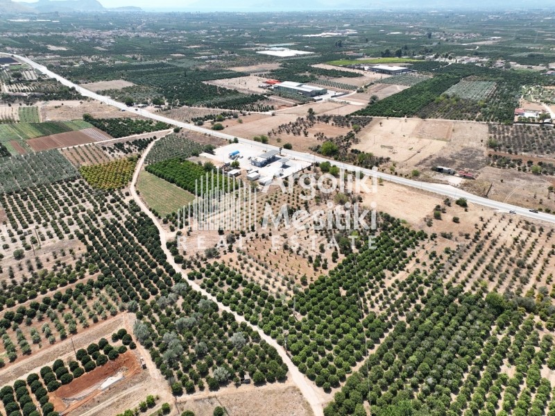 Αγροτεμάχια 20.055 τ.μ. προς πώληση, Πουλλακίδα