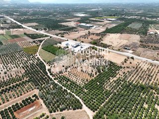 Αγροτεμάχια 20.055 τ.μ. για πώληση, Αργολίδα, Μιδέα-thumb-1
