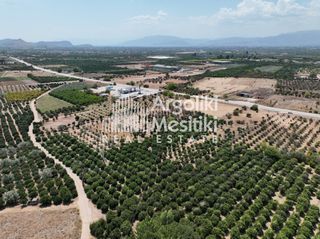 Αγροτεμάχια 20.055 τ.μ. για πώληση, Αργολίδα, Μιδέα-thumb-21