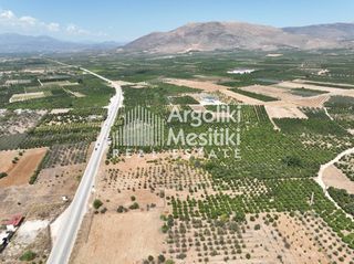 Αγροτεμάχια 20.055 τ.μ. για πώληση, Αργολίδα, Μιδέα-thumb-11