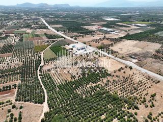 Αγροτεμάχια 20.055 τ.μ. για πώληση, Αργολίδα, Μιδέα-thumb-16