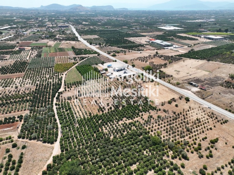 Αγροτεμάχια 20.055 τ.μ. προς πώληση, Πουλλακίδα