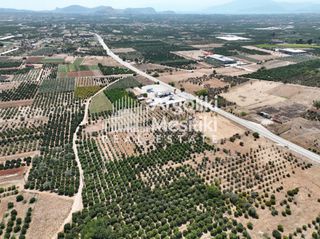 Αγροτεμάχια 20.055 τ.μ. για πώληση, Αργολίδα, Μιδέα-thumb-2