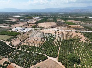 Αγροτεμάχια 20.055 τ.μ. για πώληση, Αργολίδα, Μιδέα-thumb-8