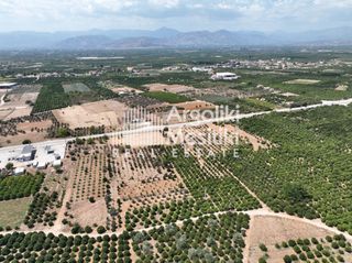 Αγροτεμάχια 20.055 τ.μ. για πώληση, Αργολίδα, Μιδέα-thumb-22