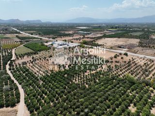 Αγροτεμάχια 20.055 τ.μ. για πώληση, Αργολίδα, Μιδέα-thumb-13