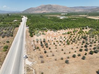 Αγροτεμάχια 20.055 τ.μ. για πώληση, Αργολίδα, Μιδέα-thumb-12