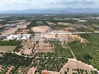 Αγροτεμάχια 20.055 τ.μ. για πώληση, Αργολίδα, Μιδέα-thumb-7