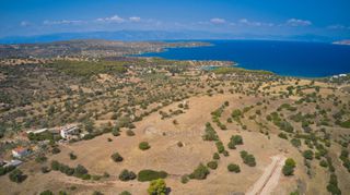 Αγροτεμάχια 20.000 τ.μ. προς πώληση, Δορούφι-thumb-14