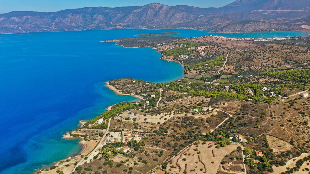 Αγροτεμάχια 20.000 τ.μ. προς πώληση, Δορούφι