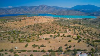 Αγροτεμάχια 20.000 τ.μ. προς πώληση, Δορούφι-thumb-11