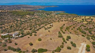 Αγροτεμάχια 20.000 τ.μ. προς πώληση, Δορούφι-thumb-8