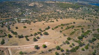 Αγροτεμάχια 20.000 τ.μ. προς πώληση, Δορούφι-thumb-18