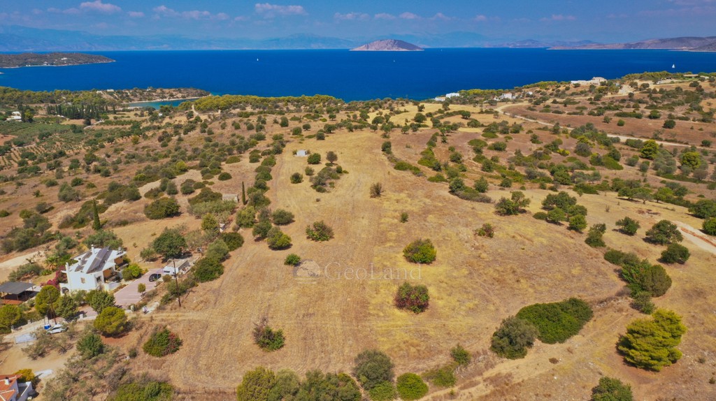 Αγροτεμάχια 20.000 τ.μ. προς πώληση, Δορούφι