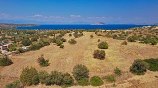 Αγροτεμάχια 20.000 τ.μ. προς πώληση, Δορούφι-thumb-15