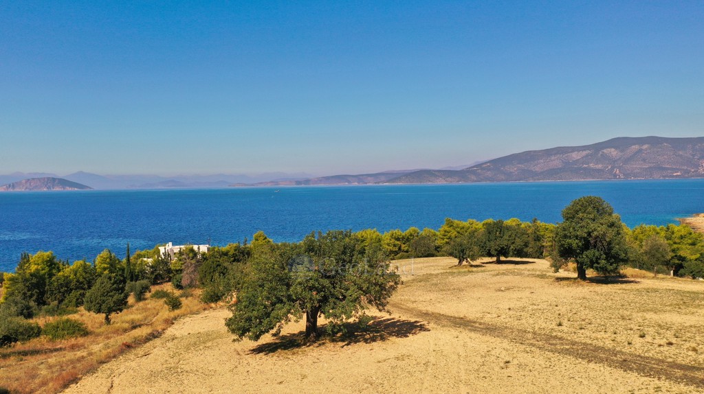 Αγροτεμάχια 20.000 τ.μ. προς πώληση, Δορούφι