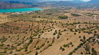 Αγροτεμάχια 20.000 τ.μ. προς πώληση, Δορούφι-thumb-13
