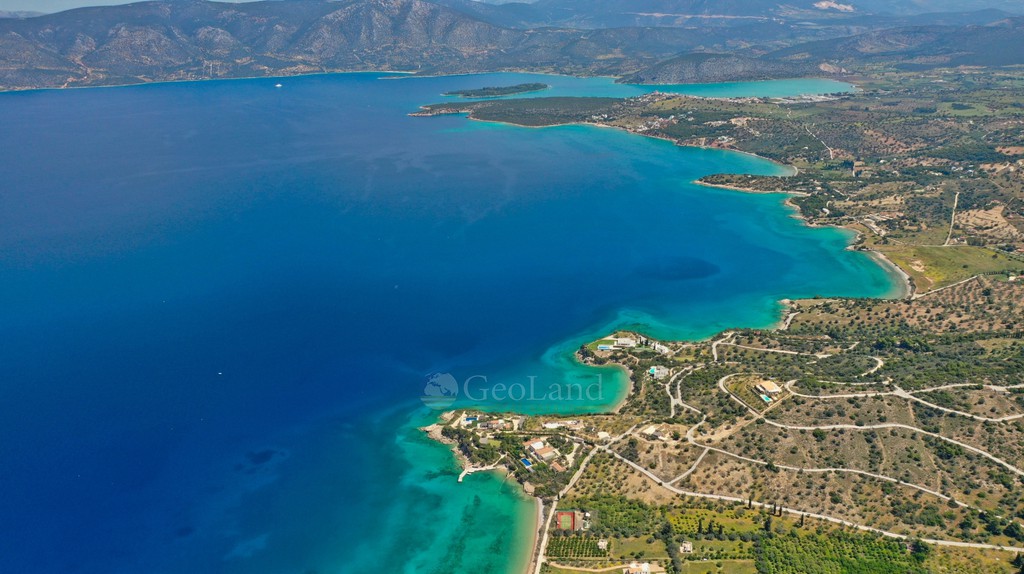 Αγροτεμάχια 20.000 τ.μ. προς πώληση, Δορούφι