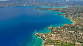 Αγροτεμάχια 20.000 τ.μ. για πώληση
