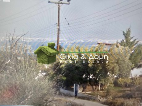 Οικόπεδο 305τ.μ. για πώληση-Σαλαμίνα » Παλούκια