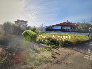 Οικόπεδο 461 τ.μ. για πώληση, Βοιωτία, Σχηματάρι-thumb-1