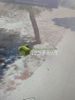 Land plot 207sqm for sale-Acharnes » Panorama