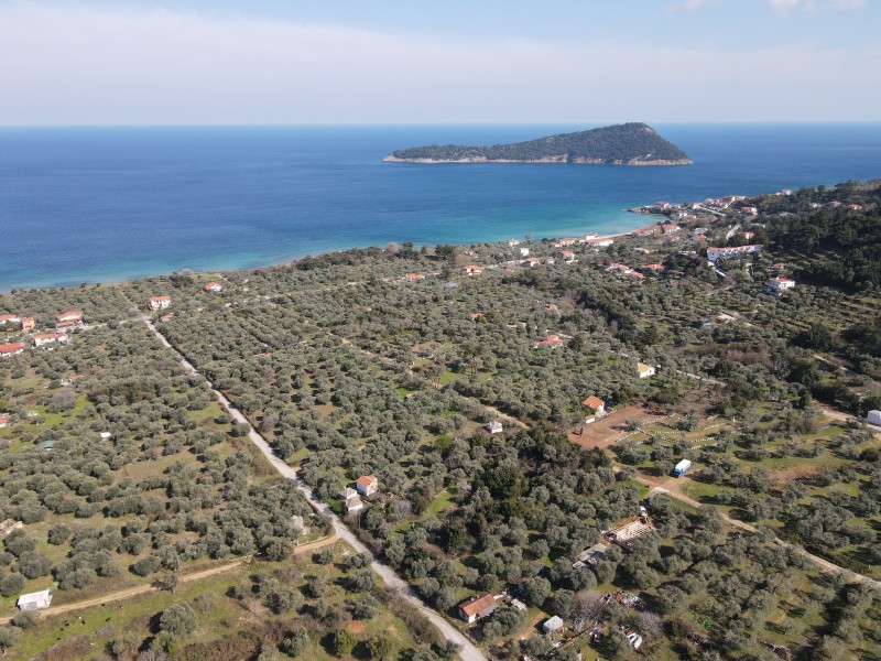 Αγροτεμάχια 9.800 τ.μ. για πώληση, Ν. Καβάλας, Θάσος