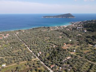 Αγροτεμάχια 9.800 τ.μ. για πώληση