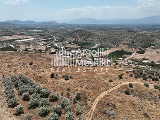 Αγροτεμάχια 6.063 τ.μ. για πώληση, Αργολίδα, Μιδέα-thumb-13