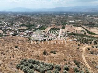 Αγροτεμάχια 6.063 τ.μ. για πώληση, Αργολίδα, Μιδέα-thumb-2