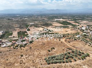 Αγροτεμάχια 6.063 τ.μ. για πώληση, Αργολίδα, Μιδέα-thumb-18