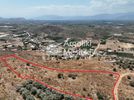 Αγροτεμάχια 6.063τ.μ. για πώληση-Μιδέα » Δενδρά