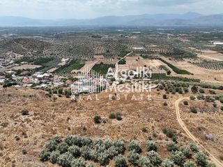 Αγροτεμάχια 6.063 τ.μ. για πώληση, Αργολίδα, Μιδέα-thumb-21