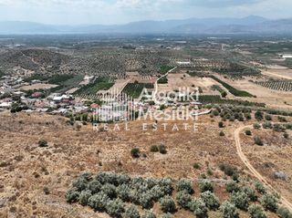 Αγροτεμάχια 6.063 τ.μ. για πώληση, Αργολίδα, Μιδέα-thumb-10