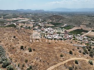 Αγροτεμάχια 6.063 τ.μ. για πώληση, Αργολίδα, Μιδέα-thumb-24