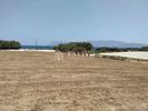 Οικόπεδο 2.827τ.μ. για πώληση-Κίσσαμος » Καλυβιανή